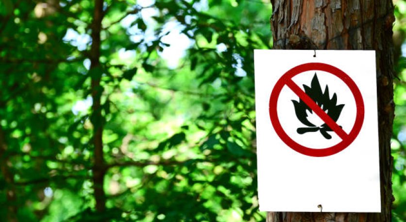 Tekirdağ'da Ormanlara Girişler Yasaklandı